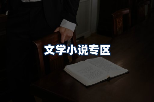 文学小说PDF展示